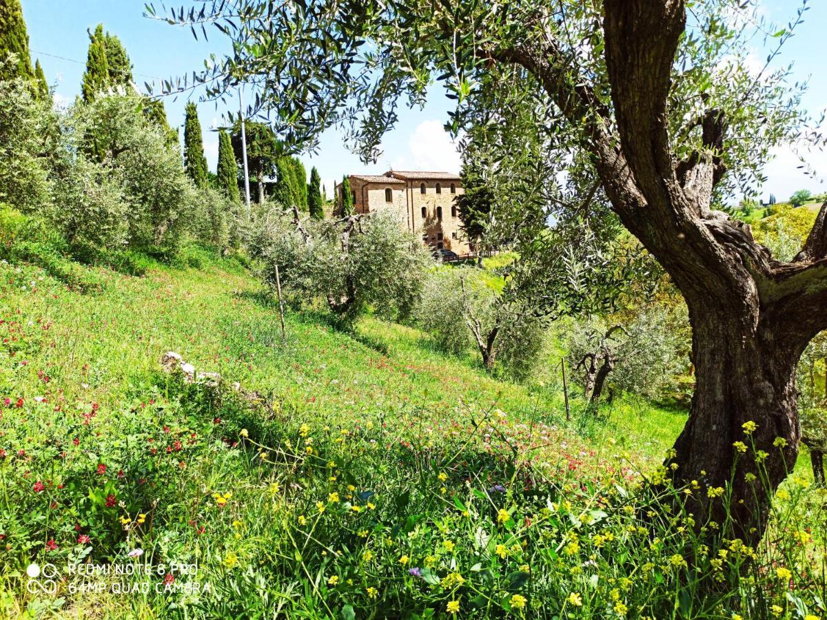 Rocca Degli Olivi Bed & Breakfast Сан Джиминяно Екстериор снимка